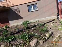 Spacer w poszukiwaniu wiosny